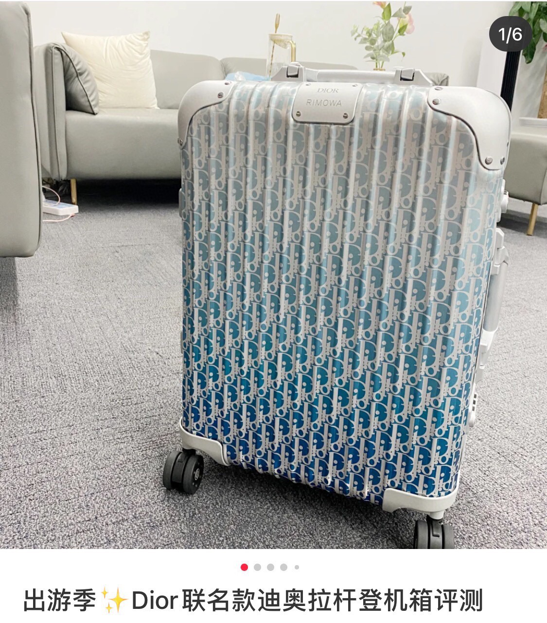 Dior luggage-19