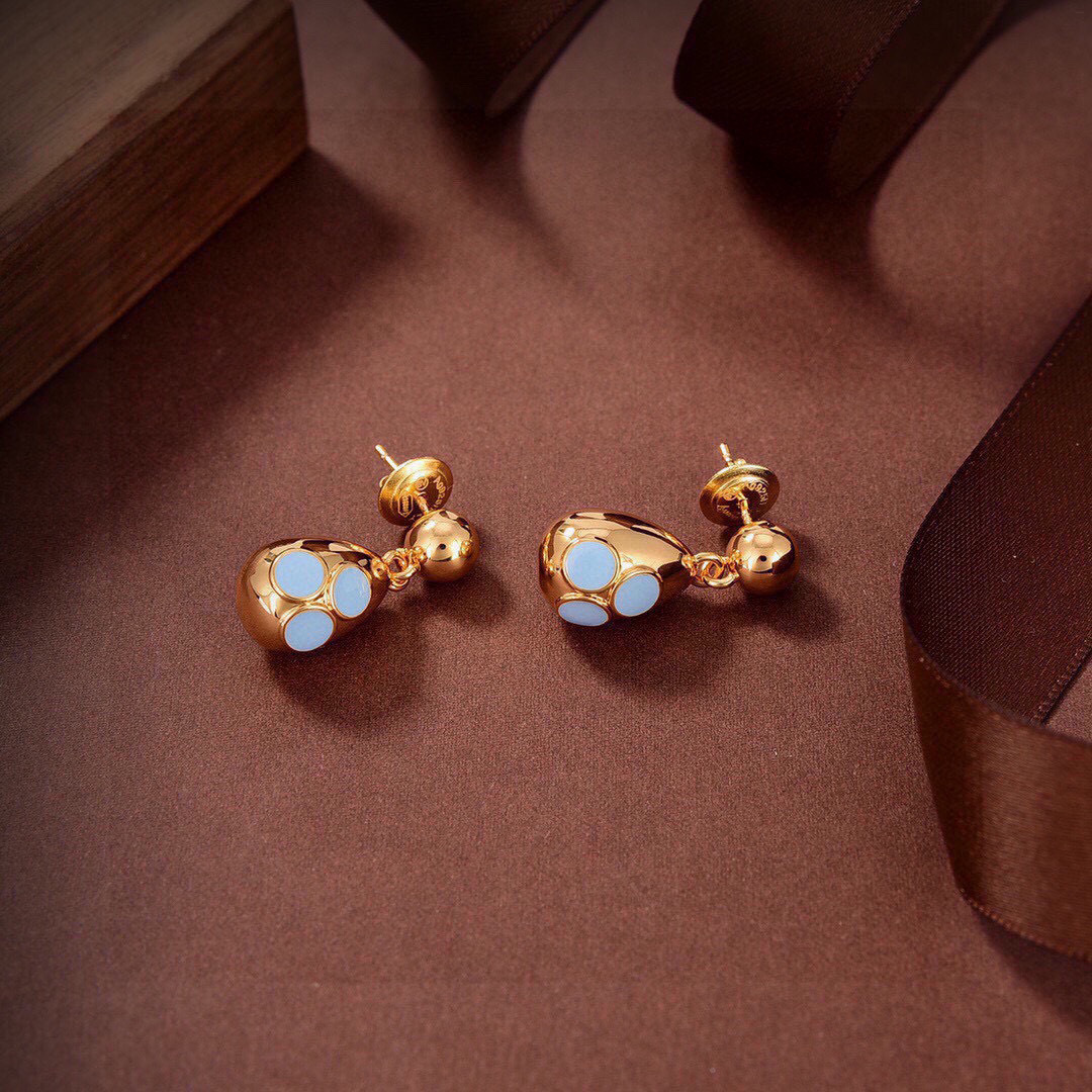 Bottega Veneta earrings-9
