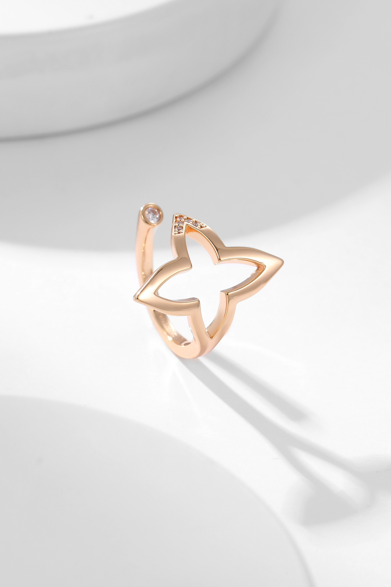 LV ring-17