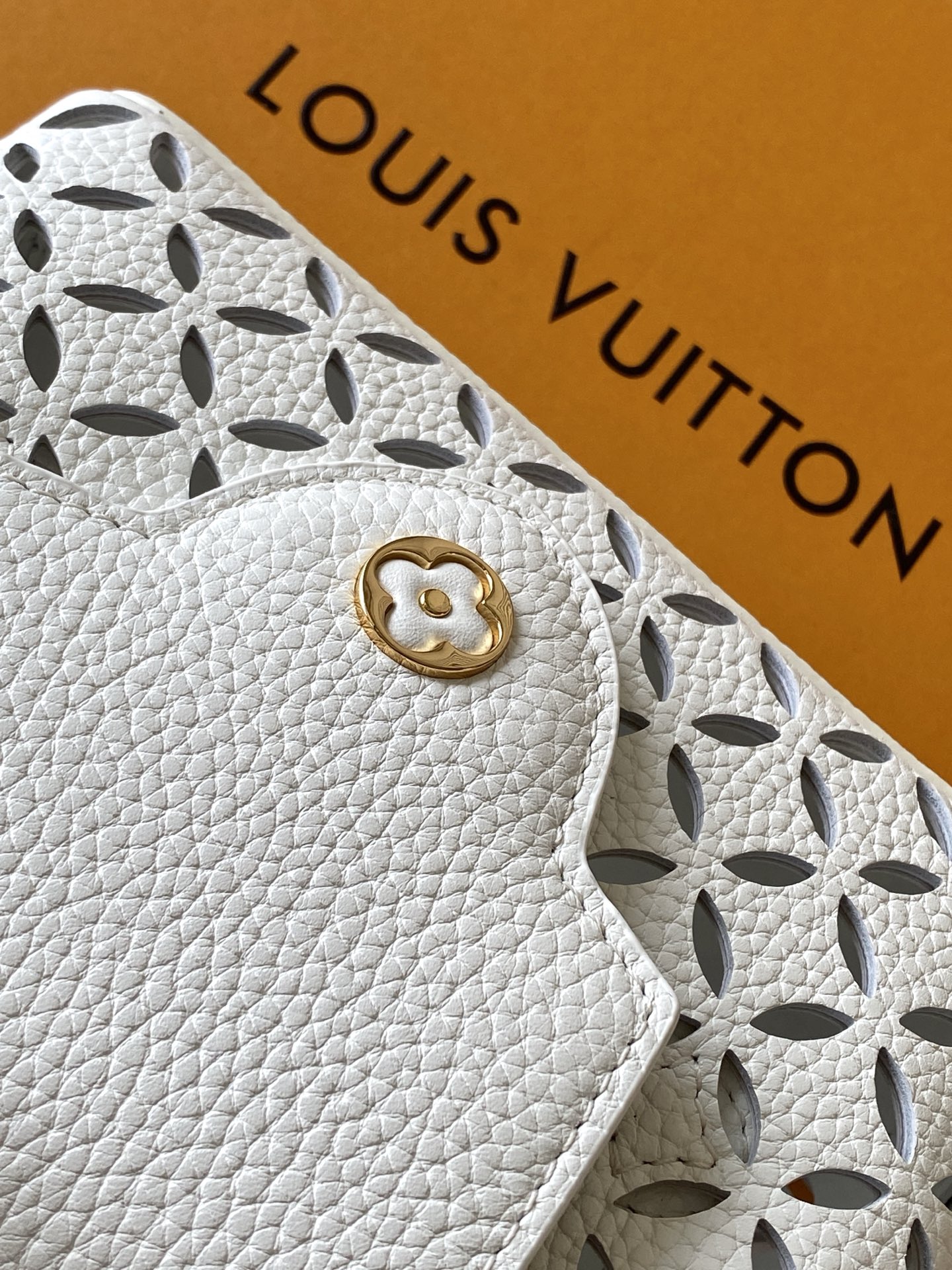 Louis Vuitton Hot New Product-100