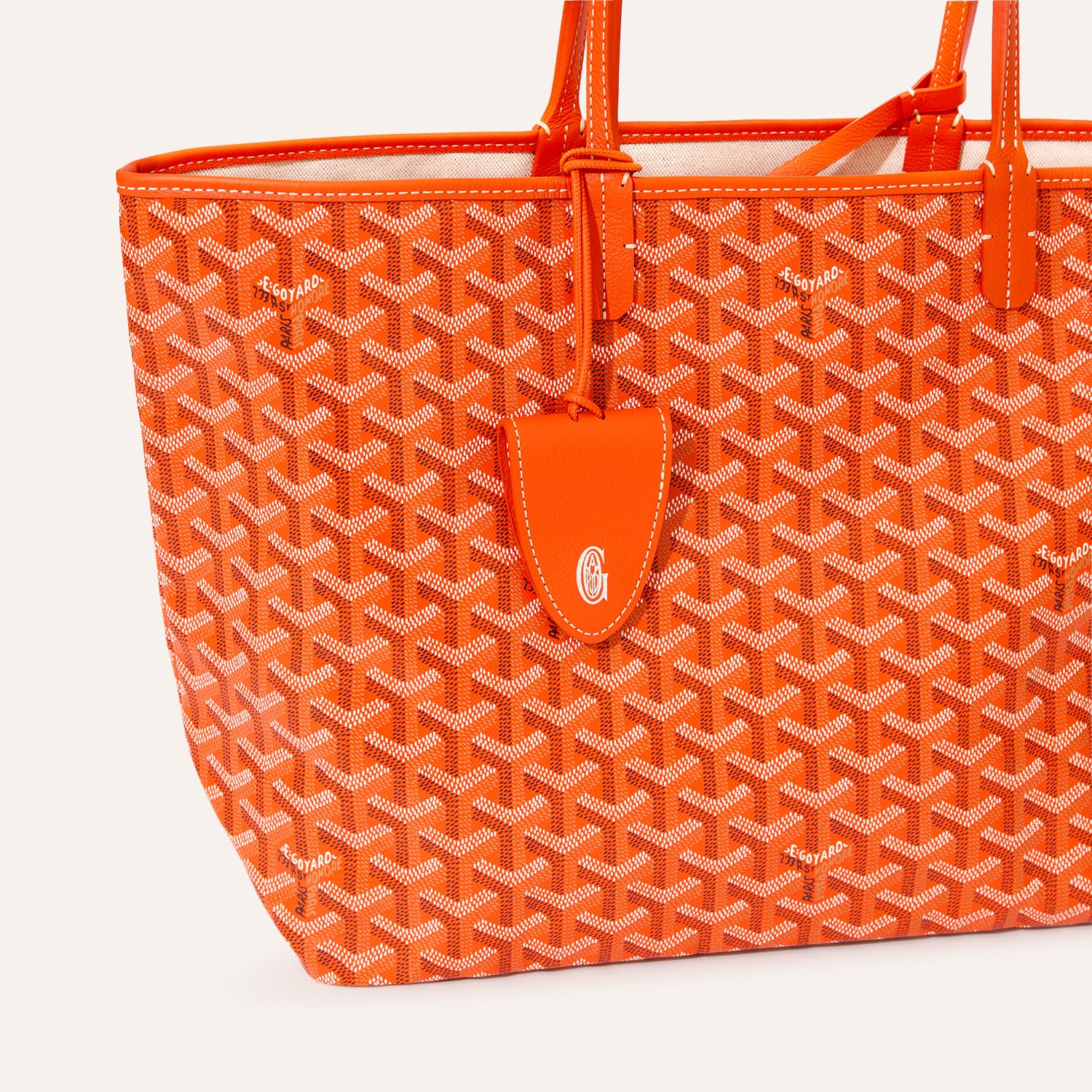 Saint Louis PM Bag