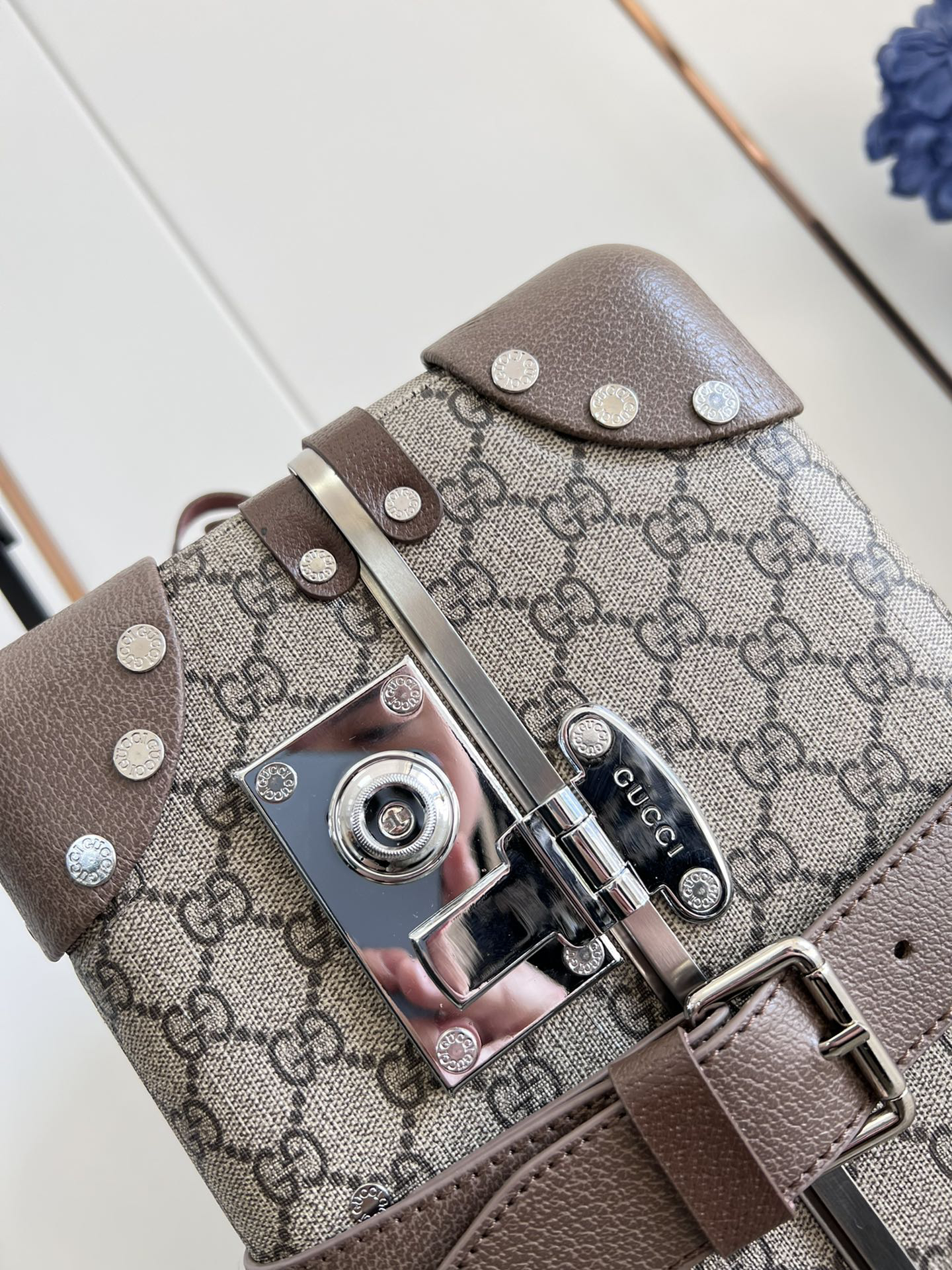 Gucci luggage-5