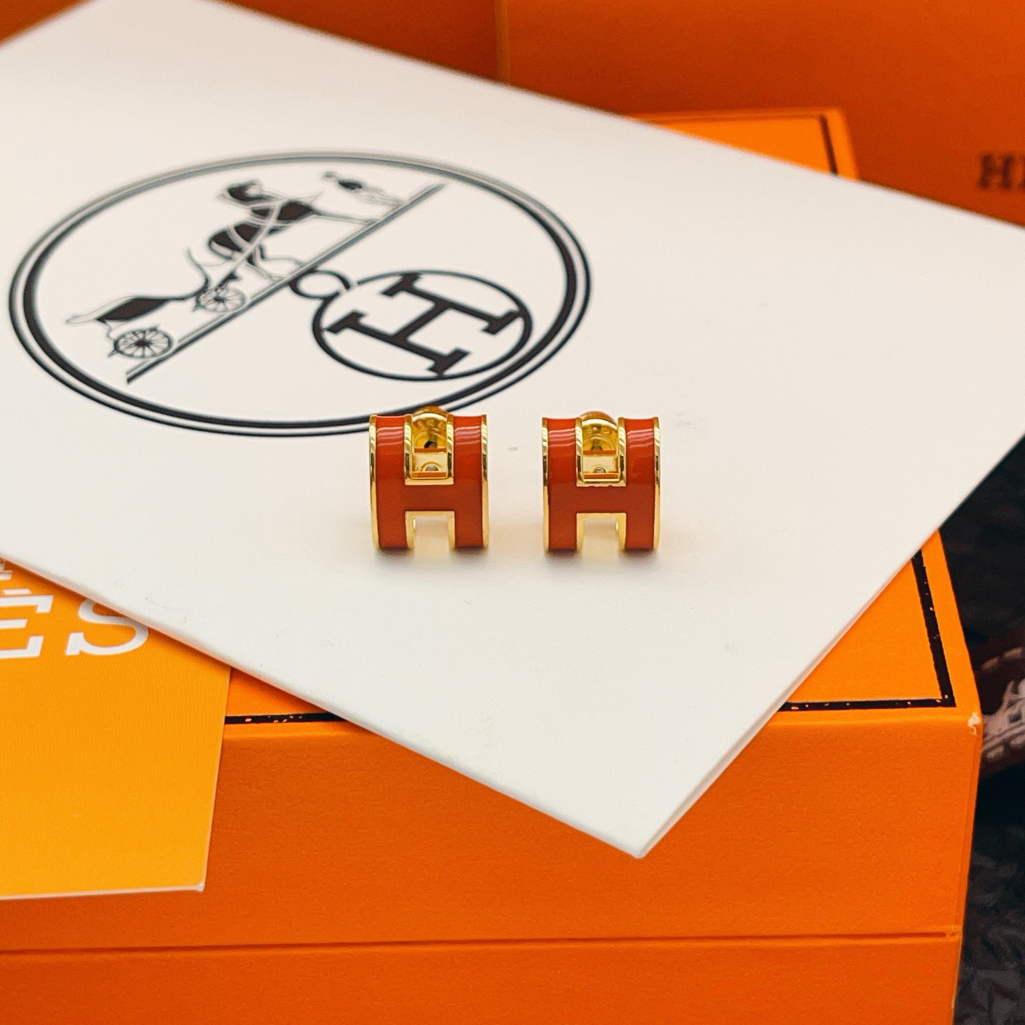 Hermes earrings-73