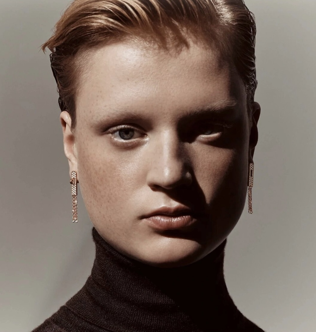 Hermes earrings-30