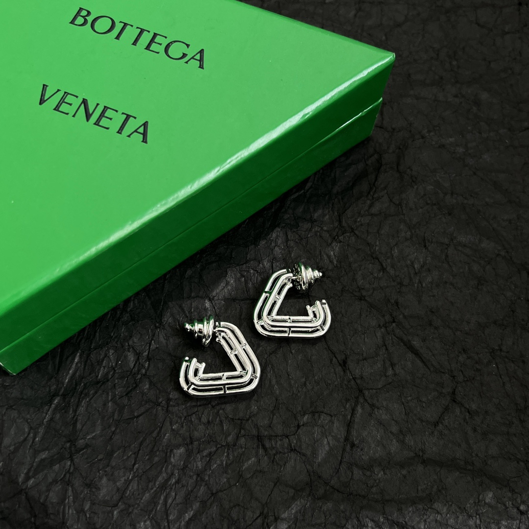 Bottega Veneta earrings-71