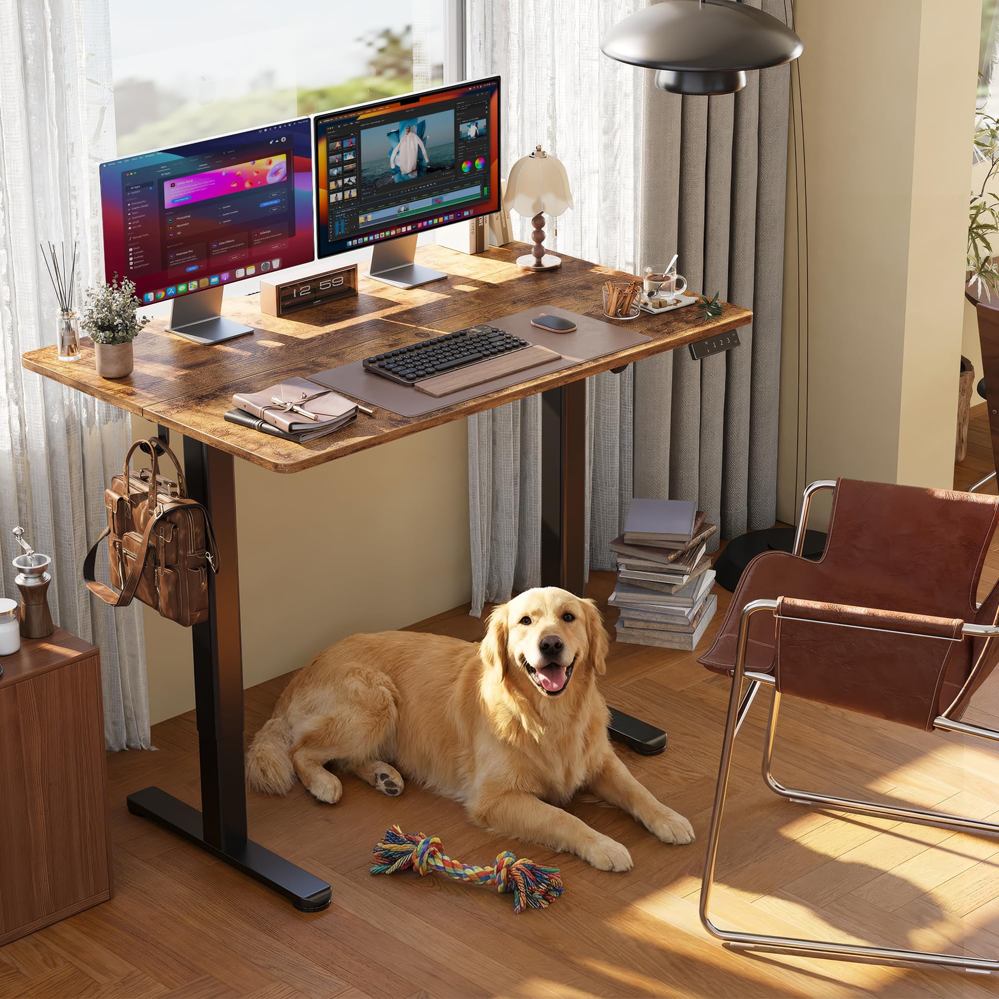 CLAIKS Electric Standing Desk - Adjustable Height 24x48