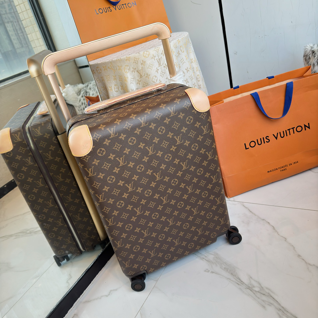 LV luggage-79