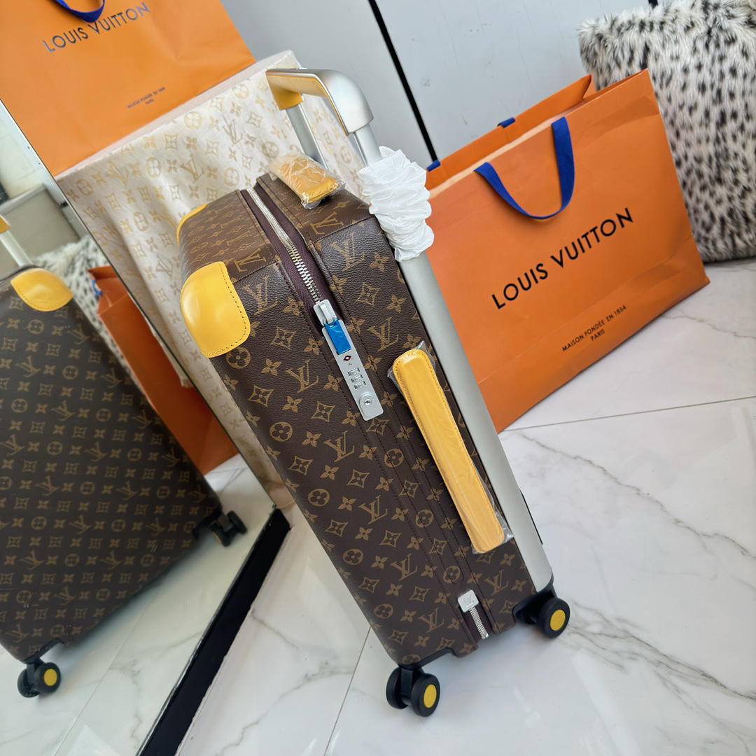 LV luggage-81