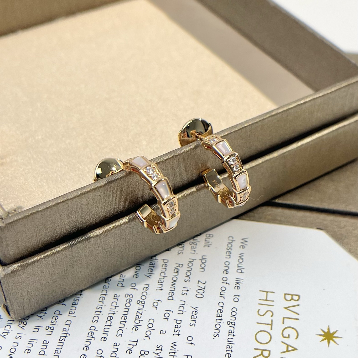Bottega Veneta earrings-47