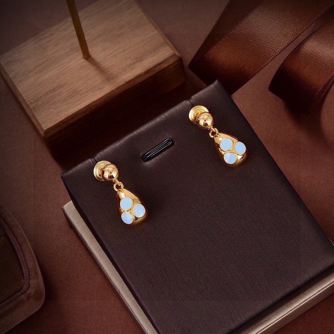 Bottega Veneta earrings-9