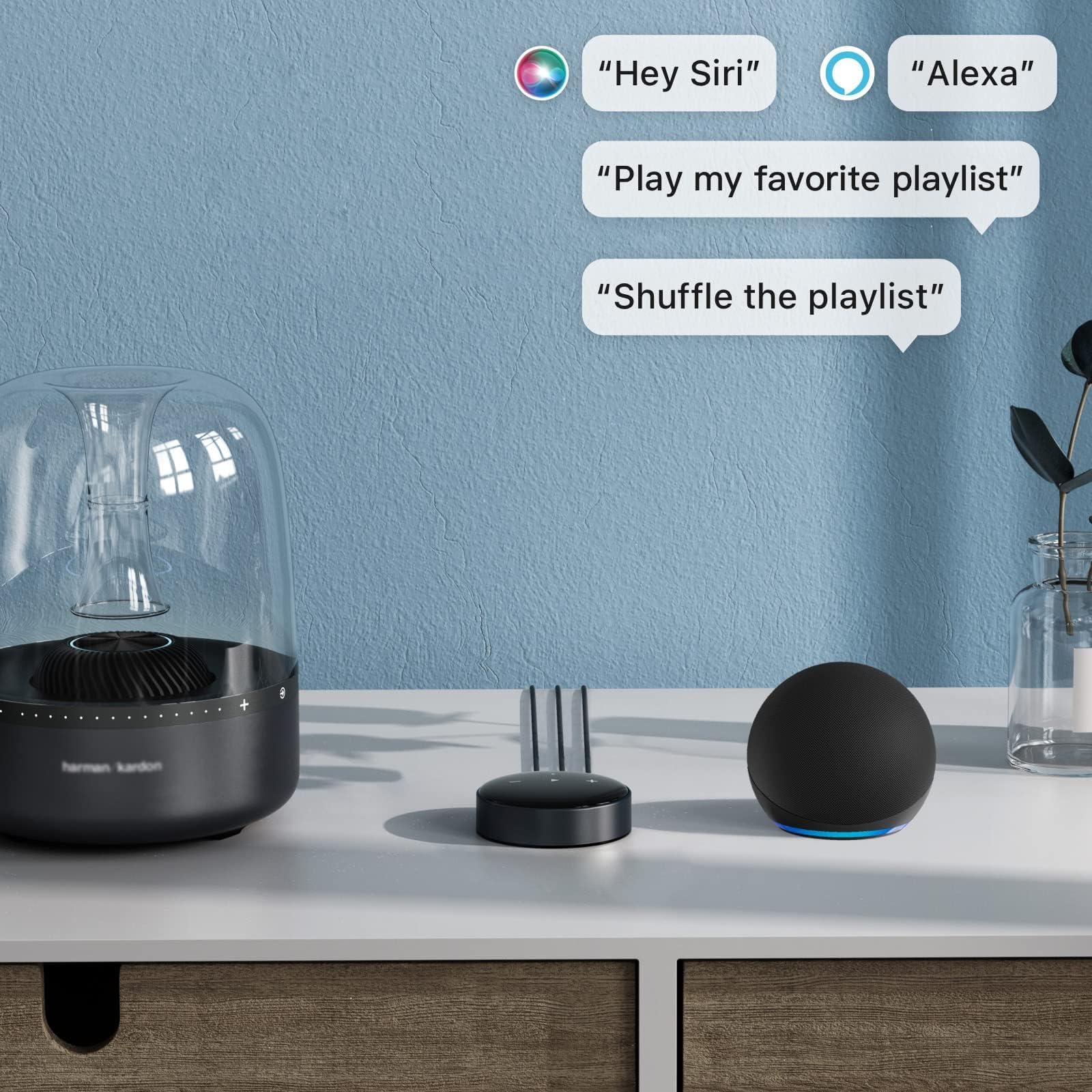 WIIM Mini AirPlay 2 Wireless Audio Streamer & Preamplifier