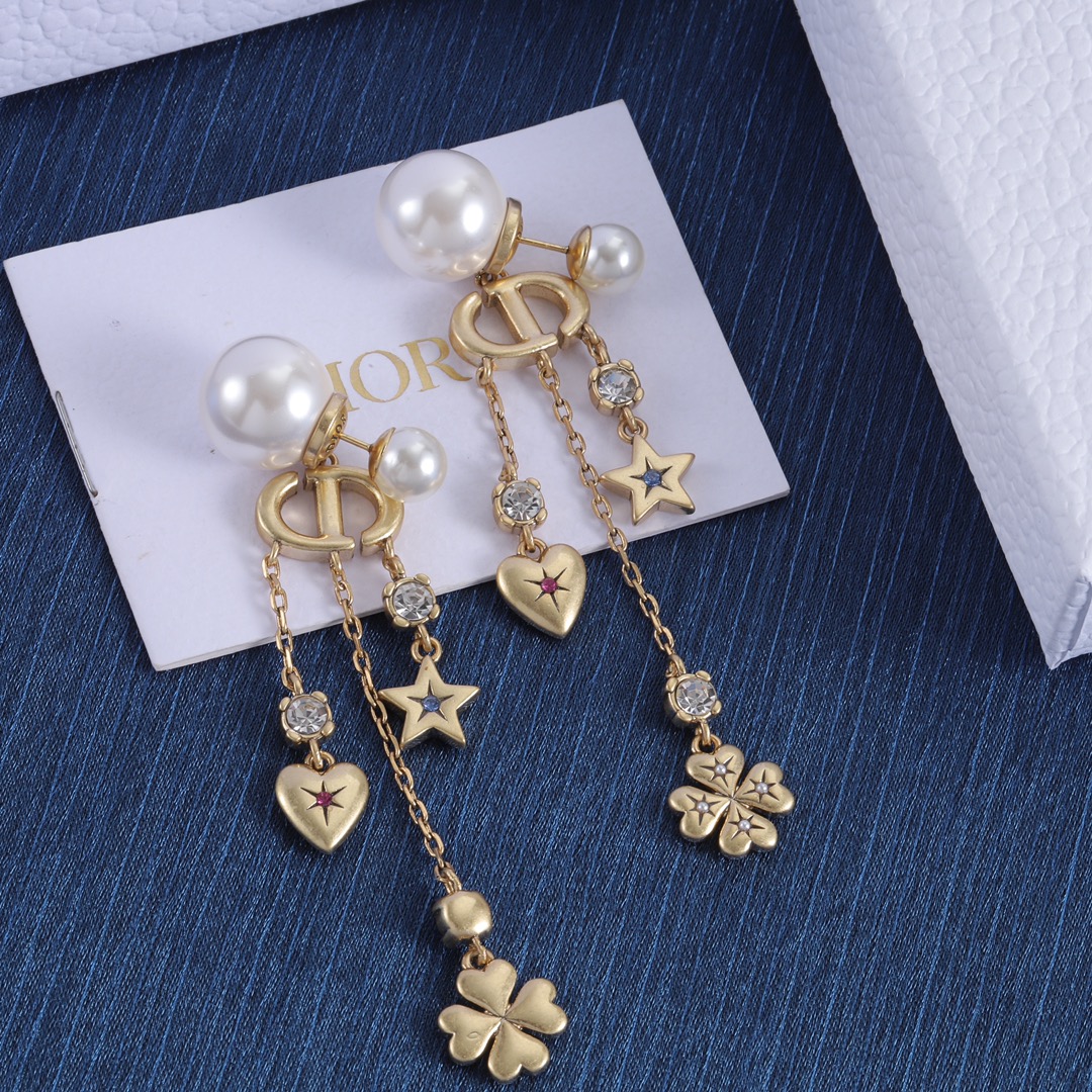 Dior earrings-52