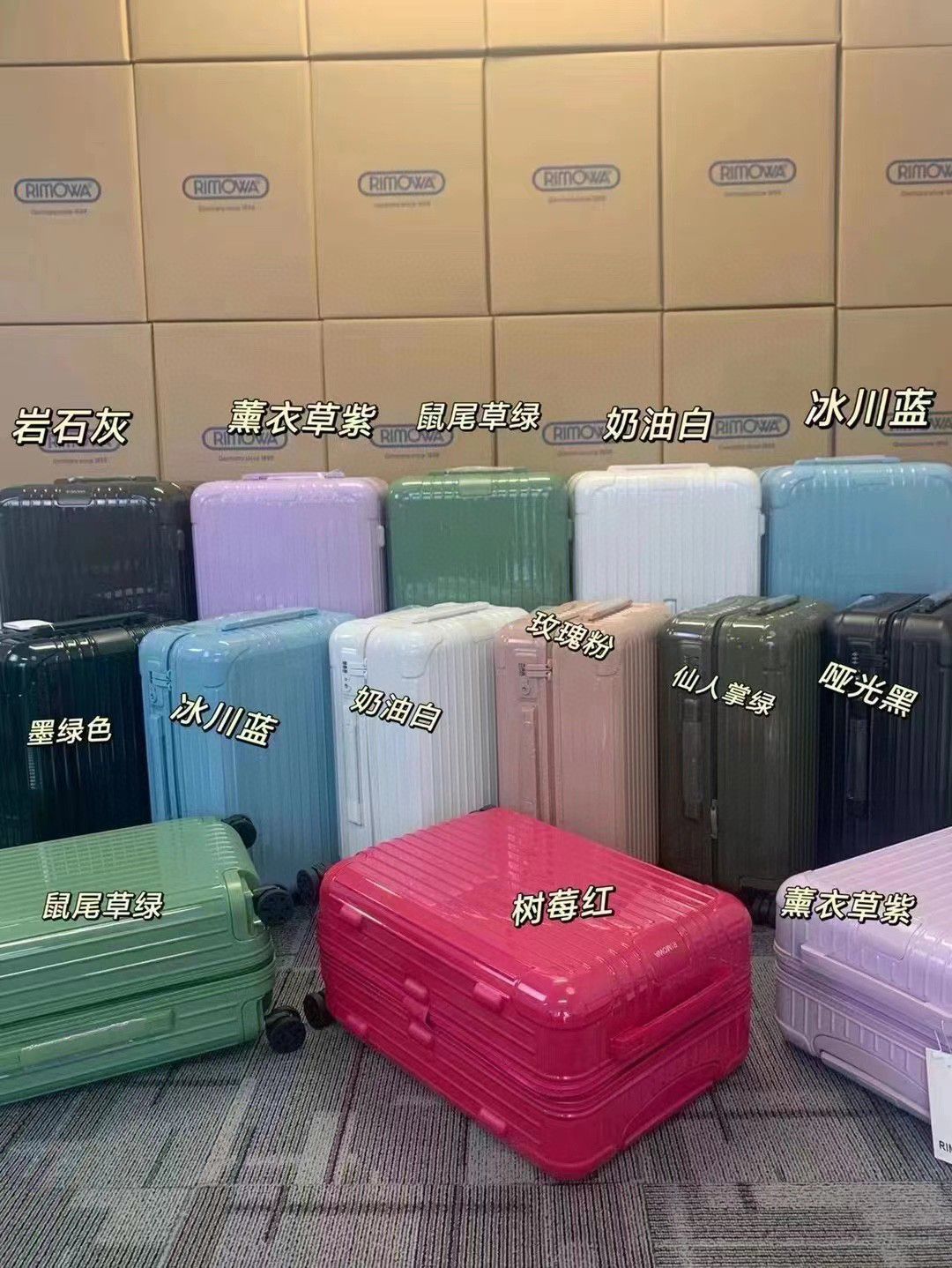 RIMOWA luggage-83