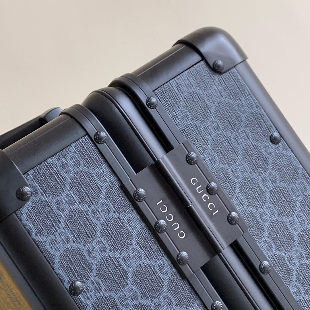Gucci luggage-30