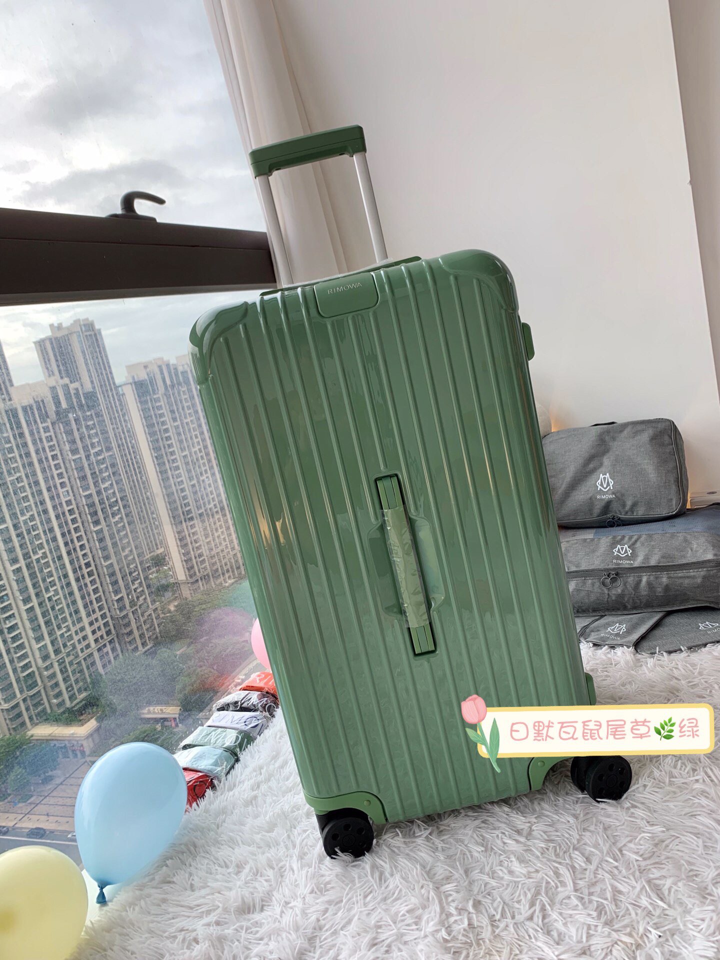 RIMOWA luggage-95