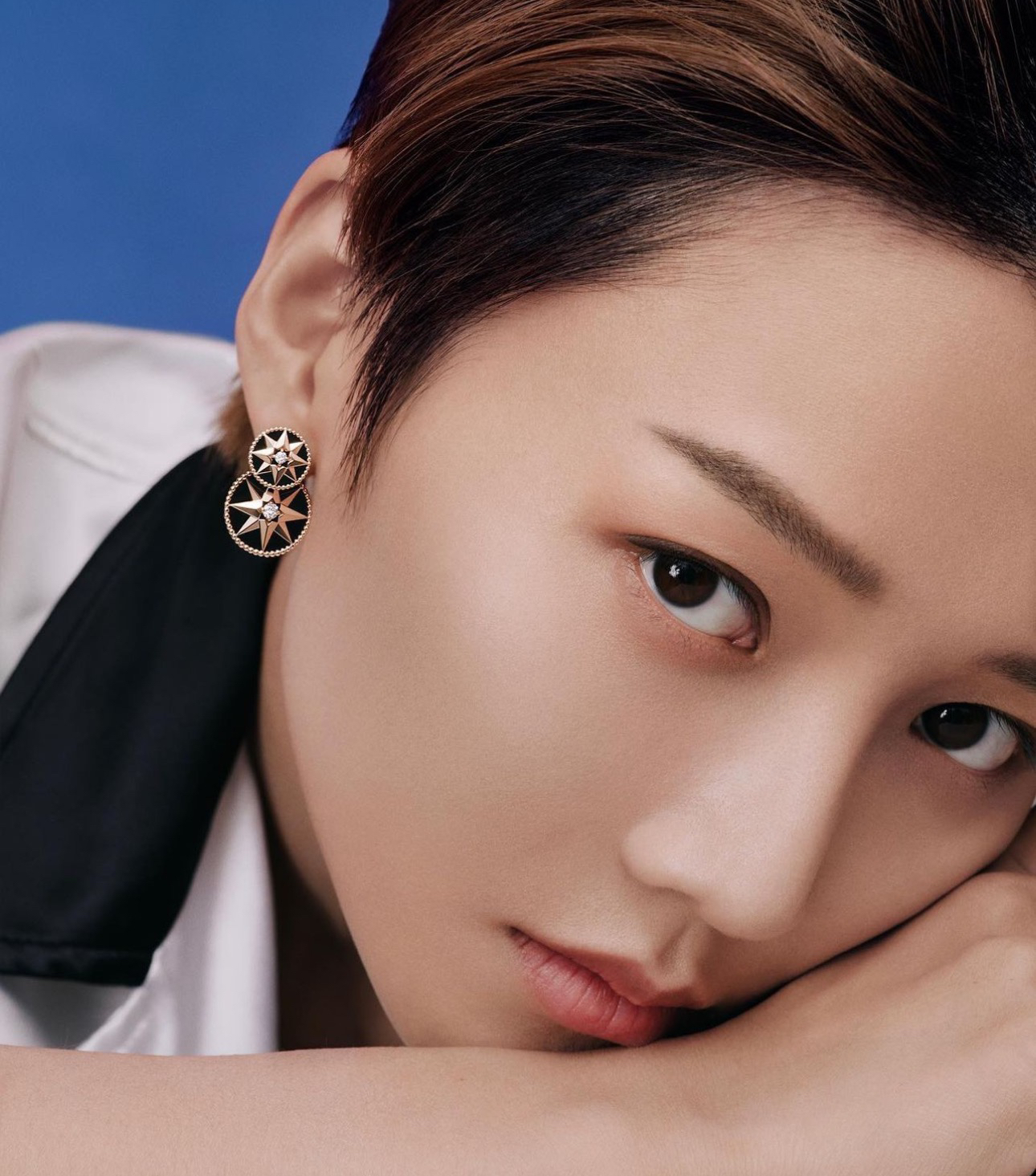 Dior earrings-66