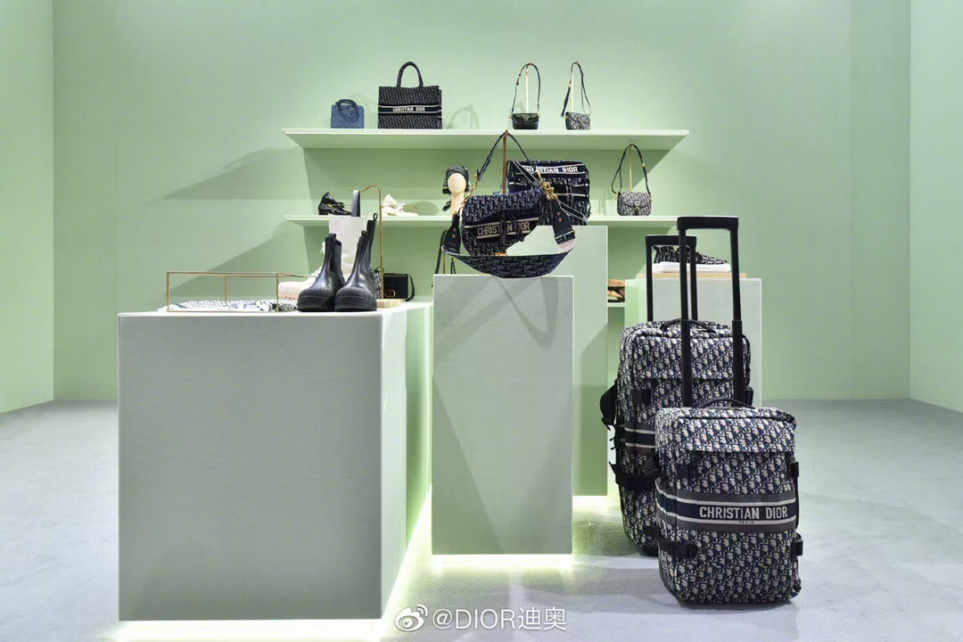 Dior luggage-26