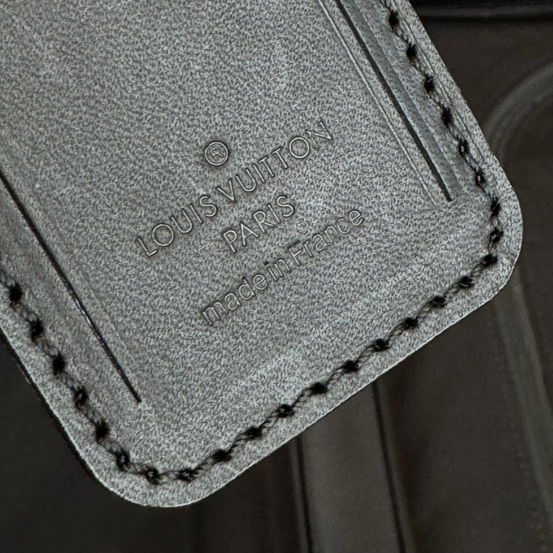 LV luggage-86