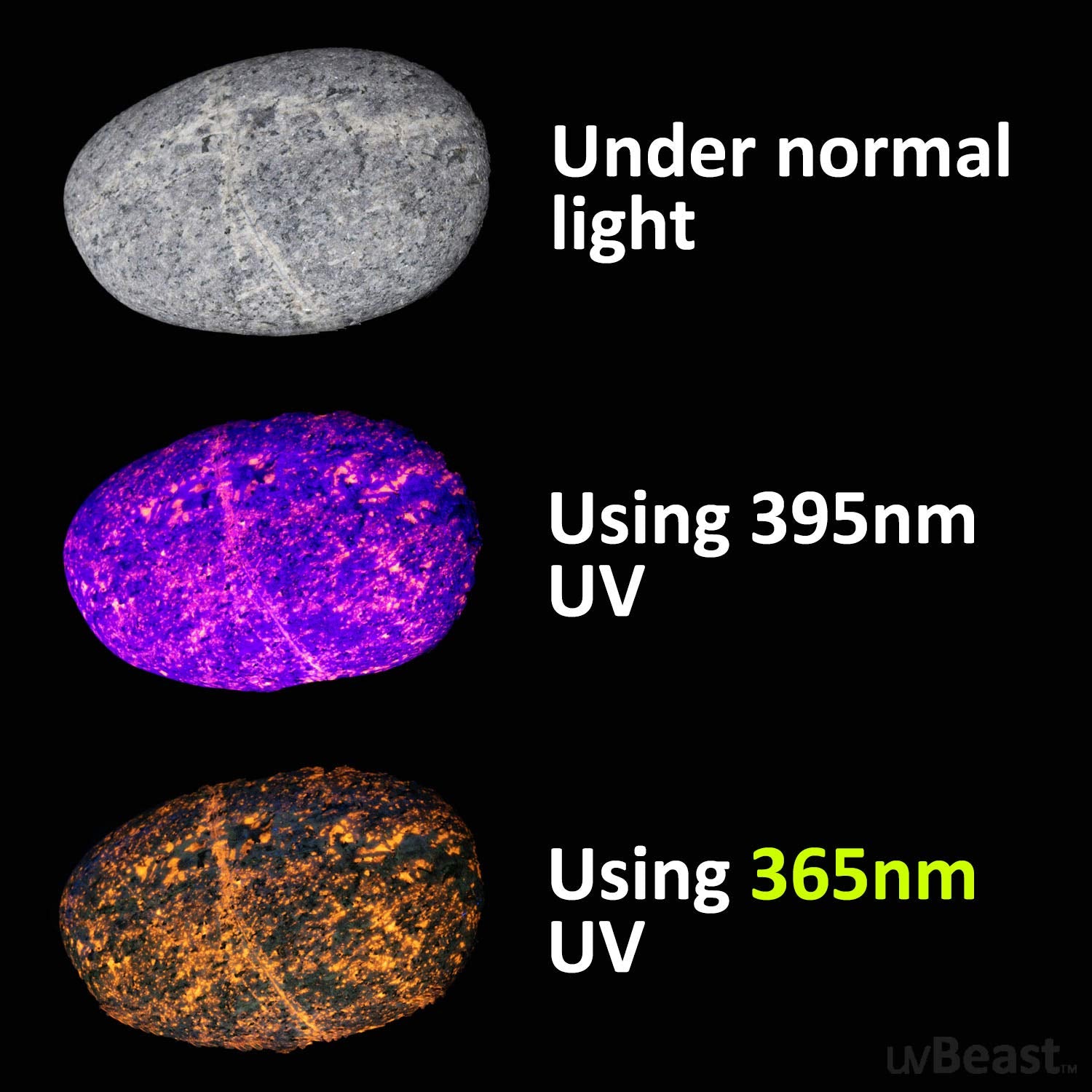 UVBEAST V3 365nm UV Flashlight - High Power Professional Grade