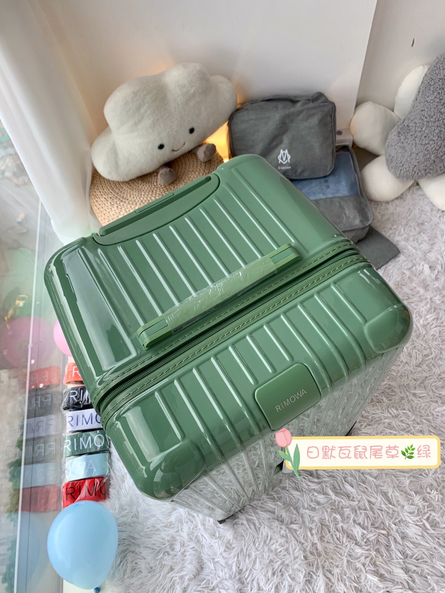 RIMOWA luggage-95