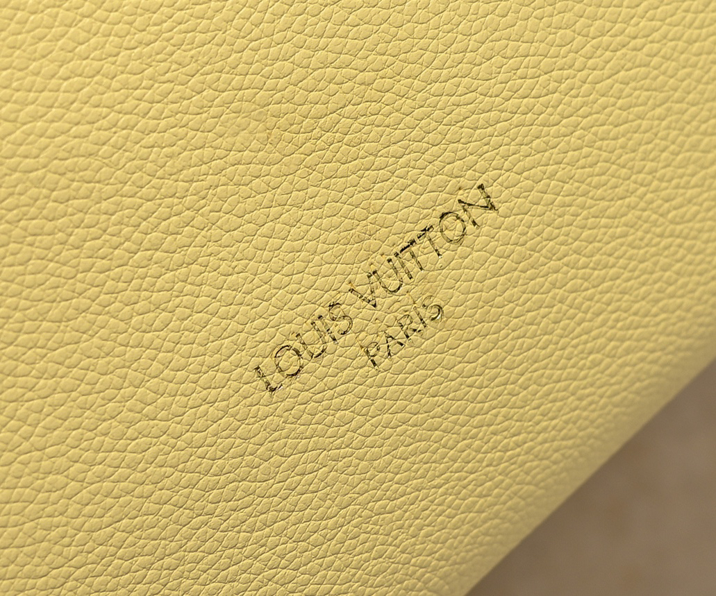 Louis Vuitton Hot New Product-145