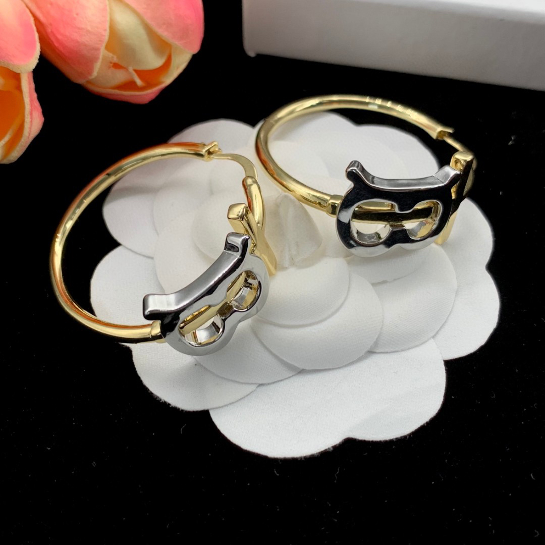 Balenciaga earrings-40