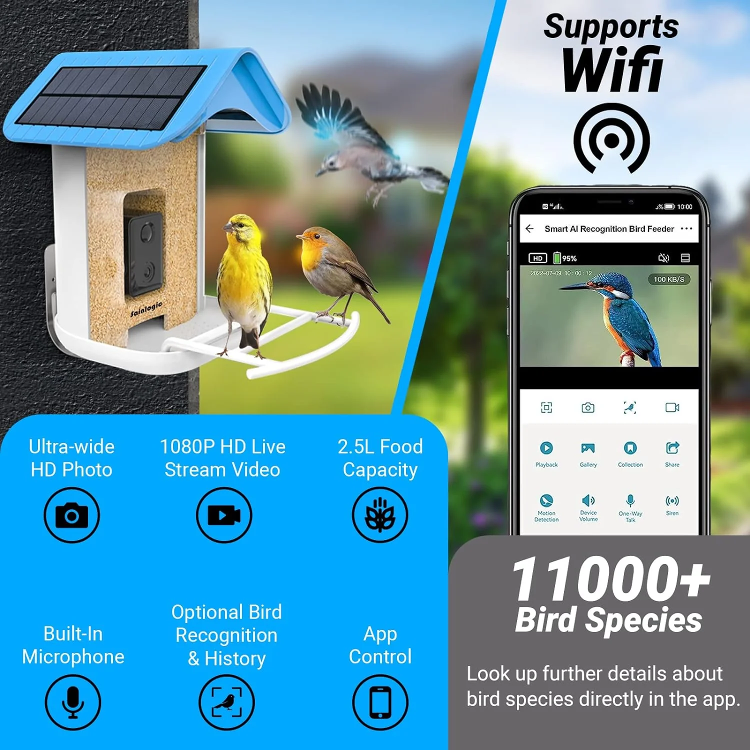 Smart Bird Feeder with 1080P HD Camera, Camera Bird Feeder Identify Bird Species with 2 Solar Panels, Video Bird Feeder with WiFi & Motion Detection, Smart Bird Feeders as Gifts(Light Blue)