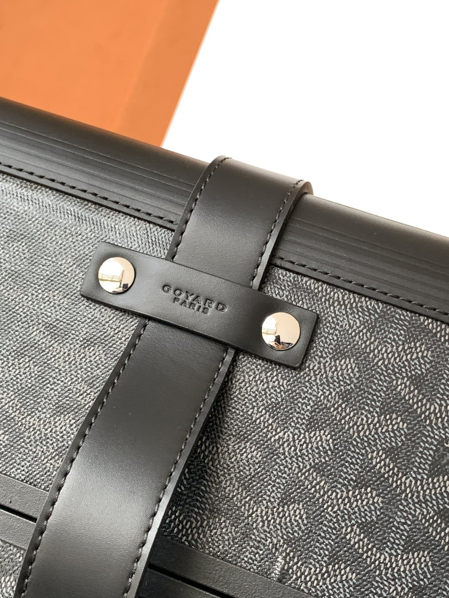 Goyard luggage-42