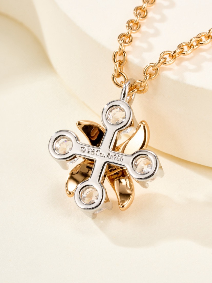 tiffany necklace-47