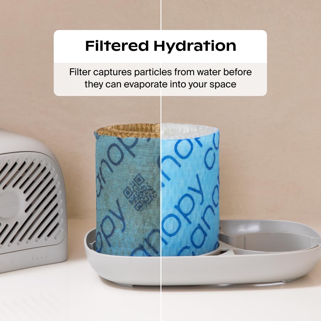 CANOPY Bedside Humidifier 2.0 - 36 HR Run Time, 2.5L Capacity