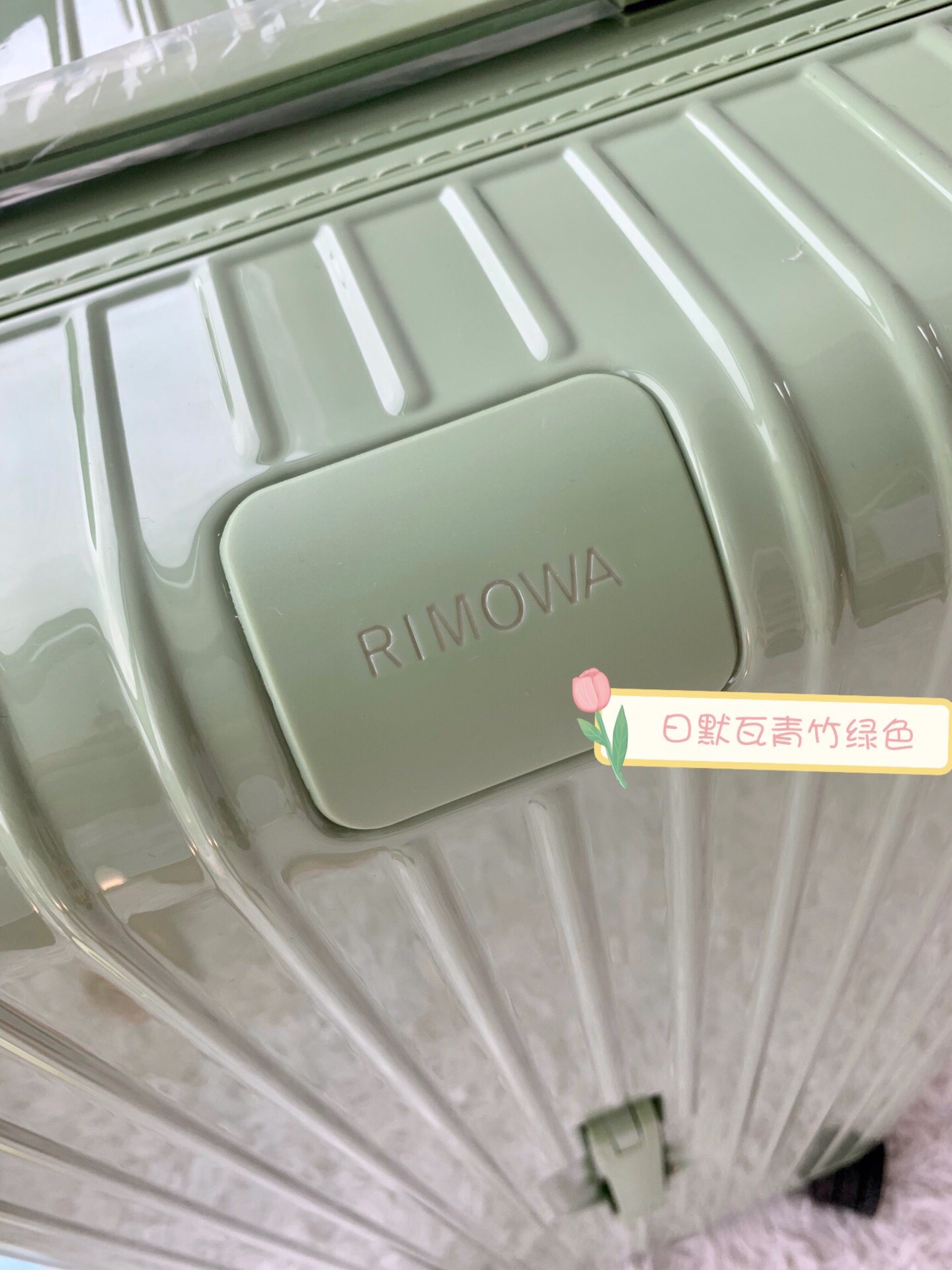 RIMOWA luggage-108