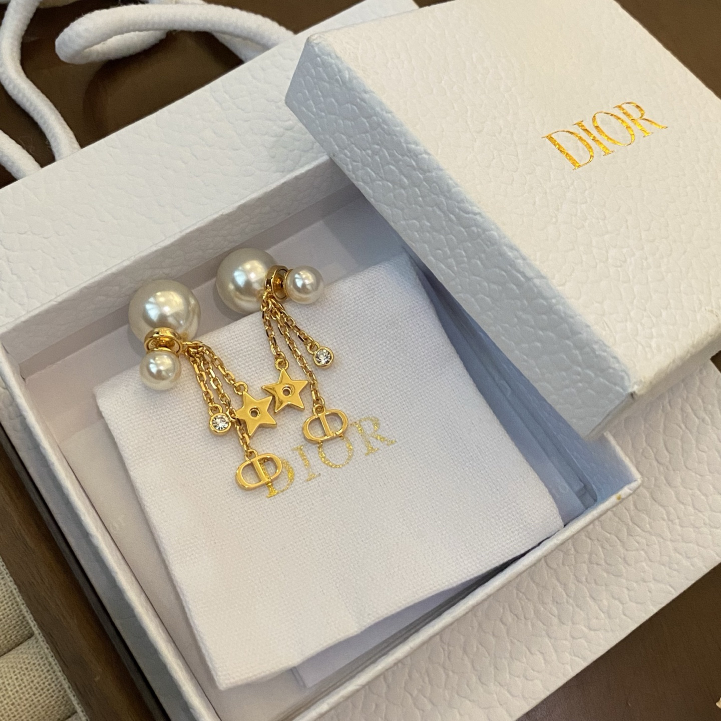 Dior earrings-72
