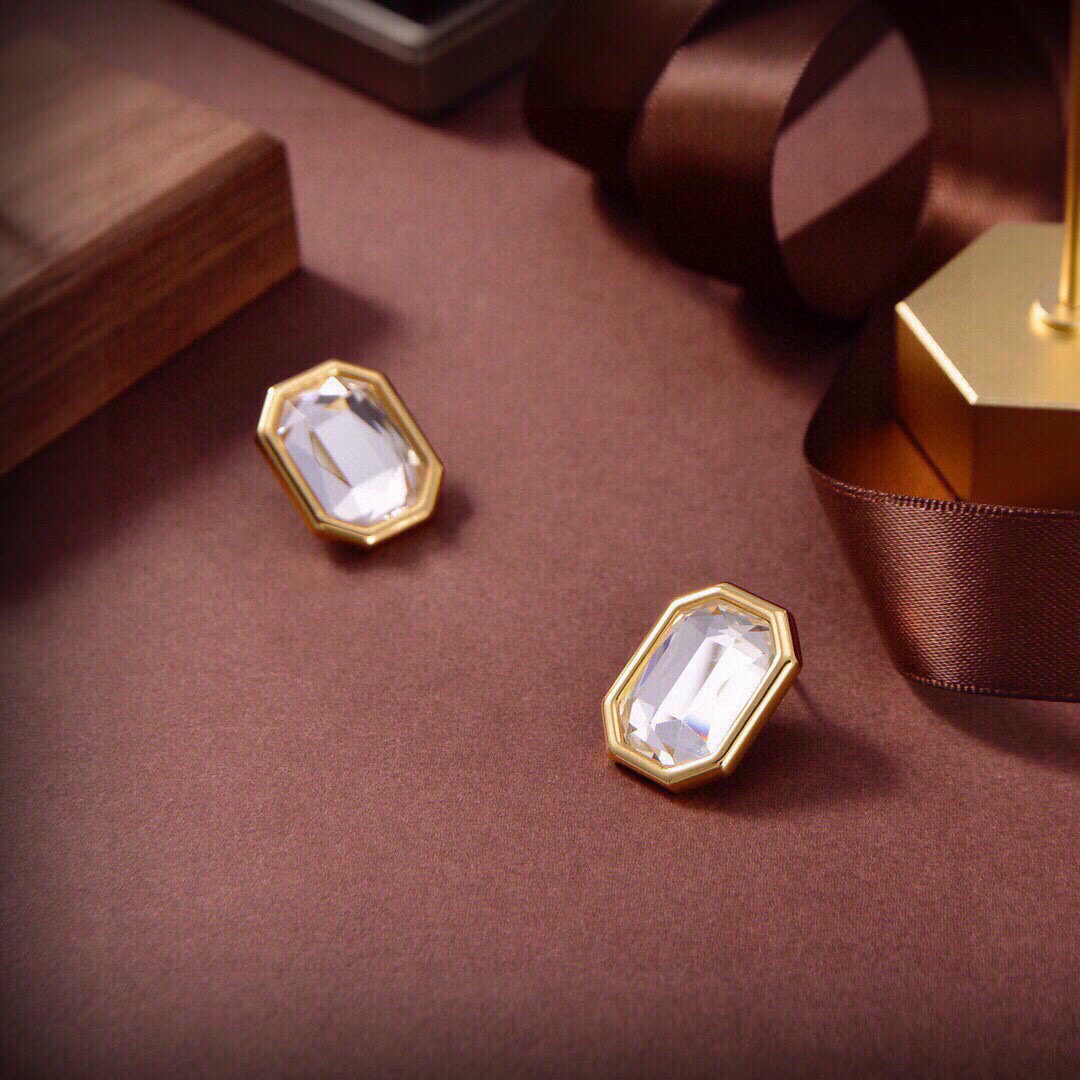 Balenciaga earrings-58