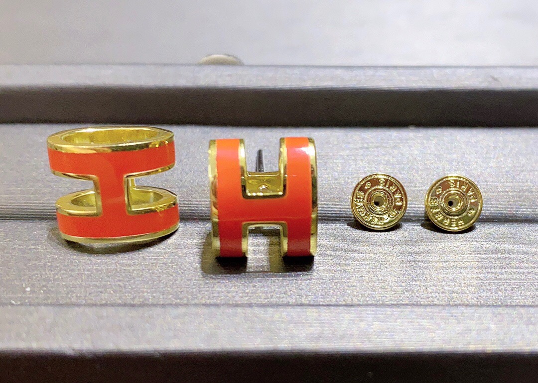 Hermes earrings-19