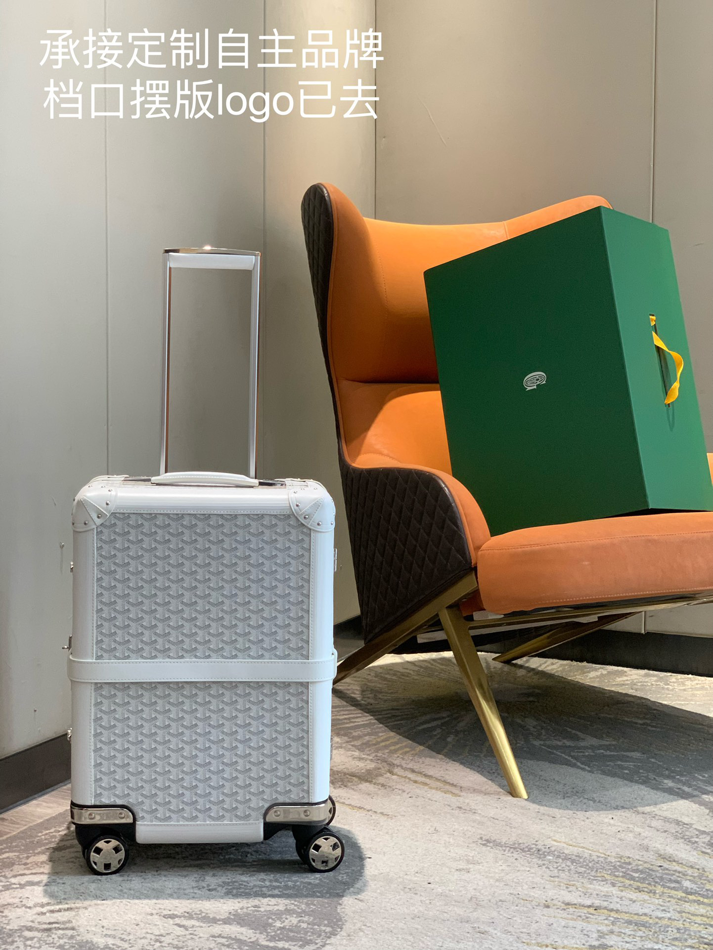 Goyard luggage-13