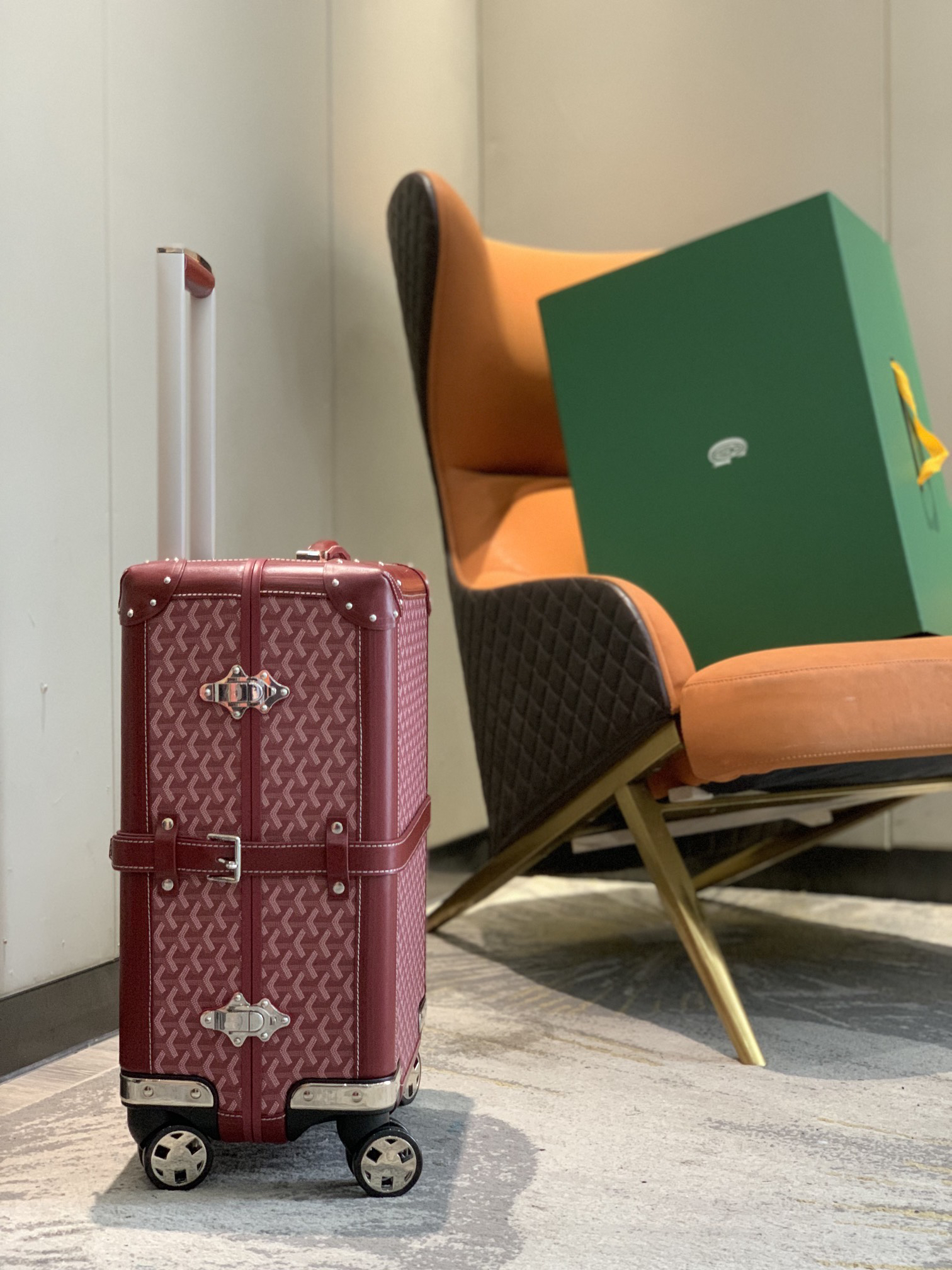 Goyard luggage-8