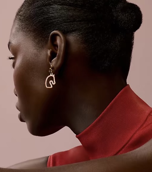 Hermes earrings-3
