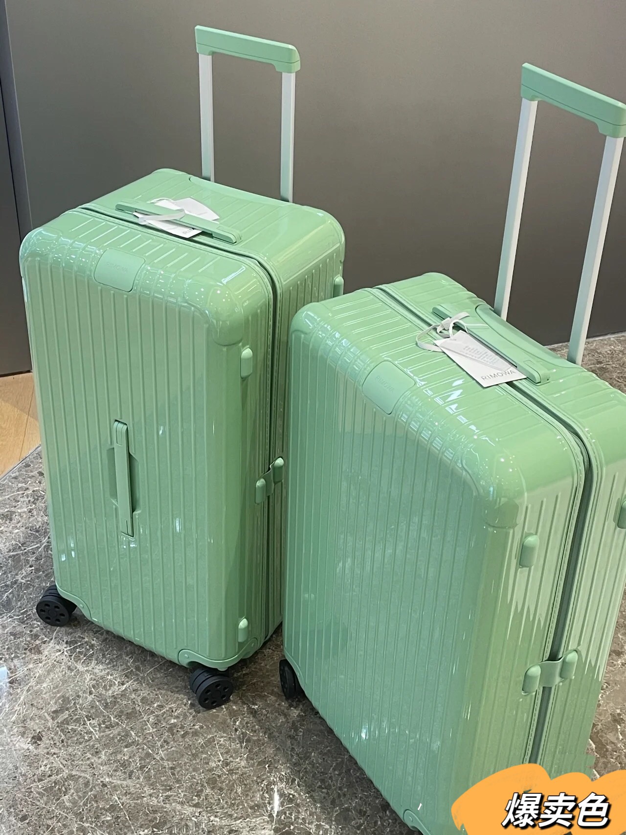 RIMOWA luggage-103