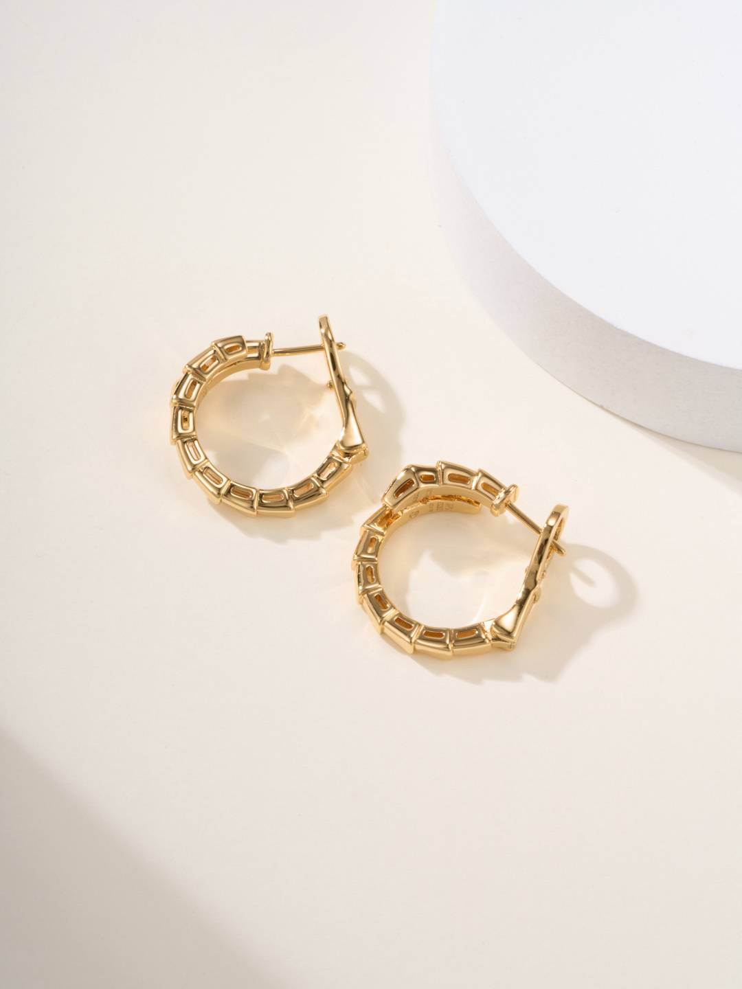 Bottega Veneta earrings-23