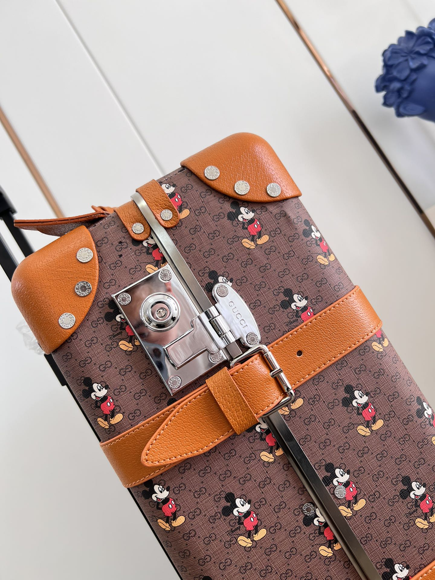 Gucci luggage-2