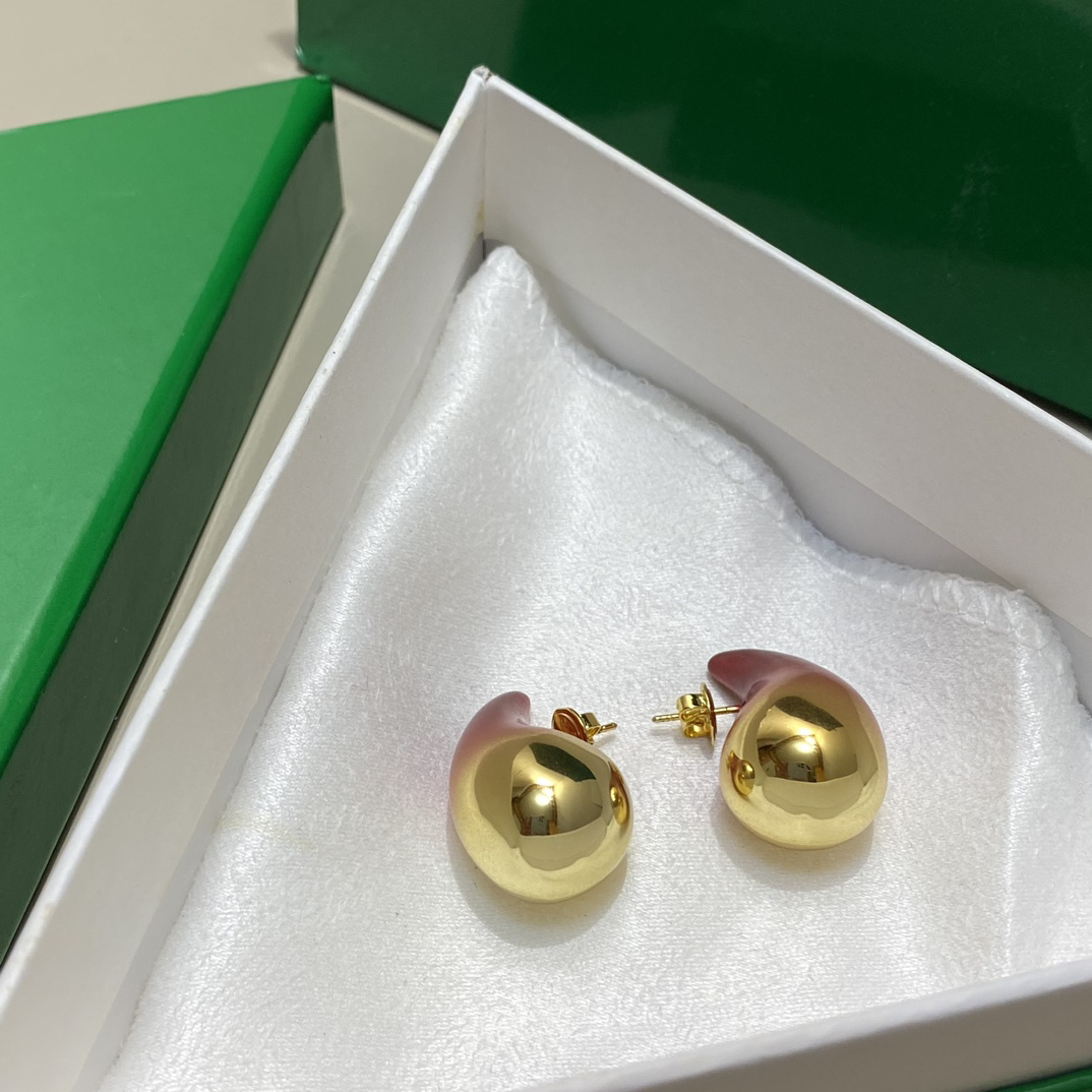 Bottega Veneta earrings-15