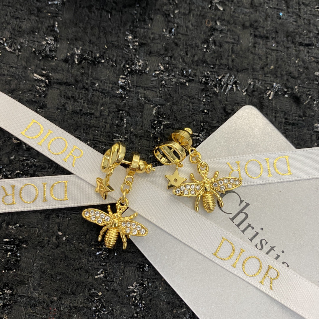 Dior earrings-86