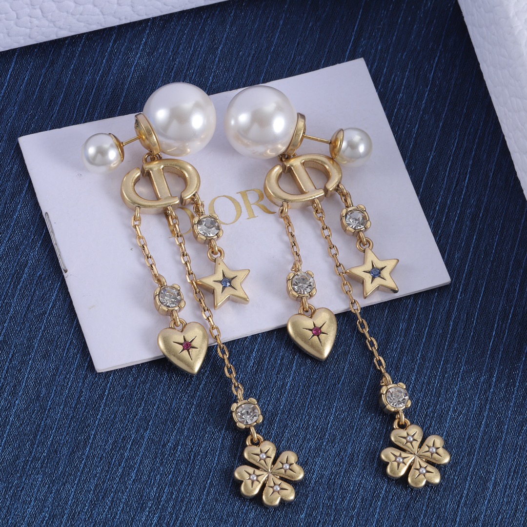 Dior earrings-52