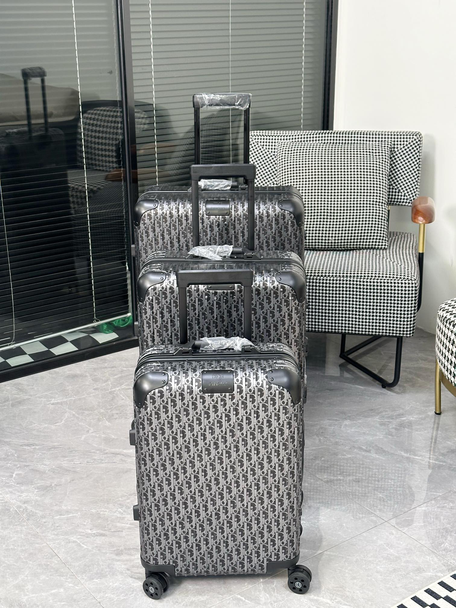 Dior luggage-22