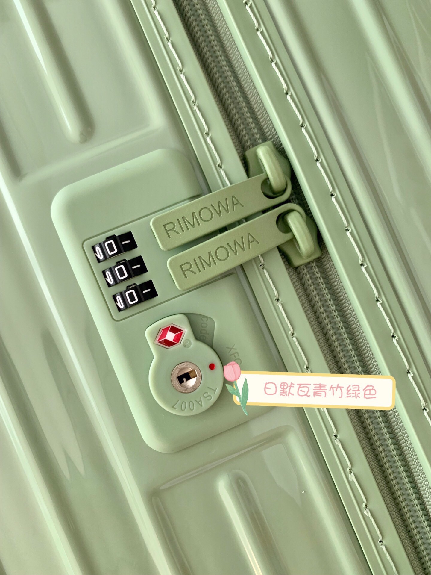 RIMOWA luggage-108