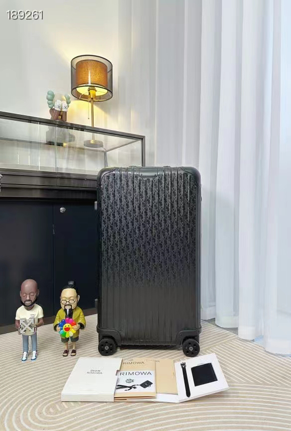 Dior luggage-2