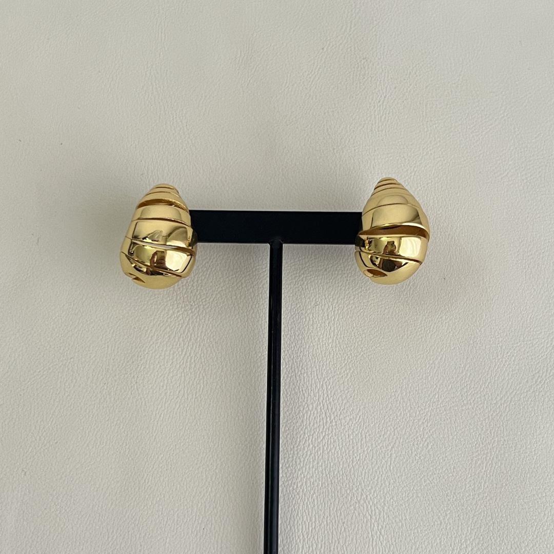 Bottega Veneta earrings-57
