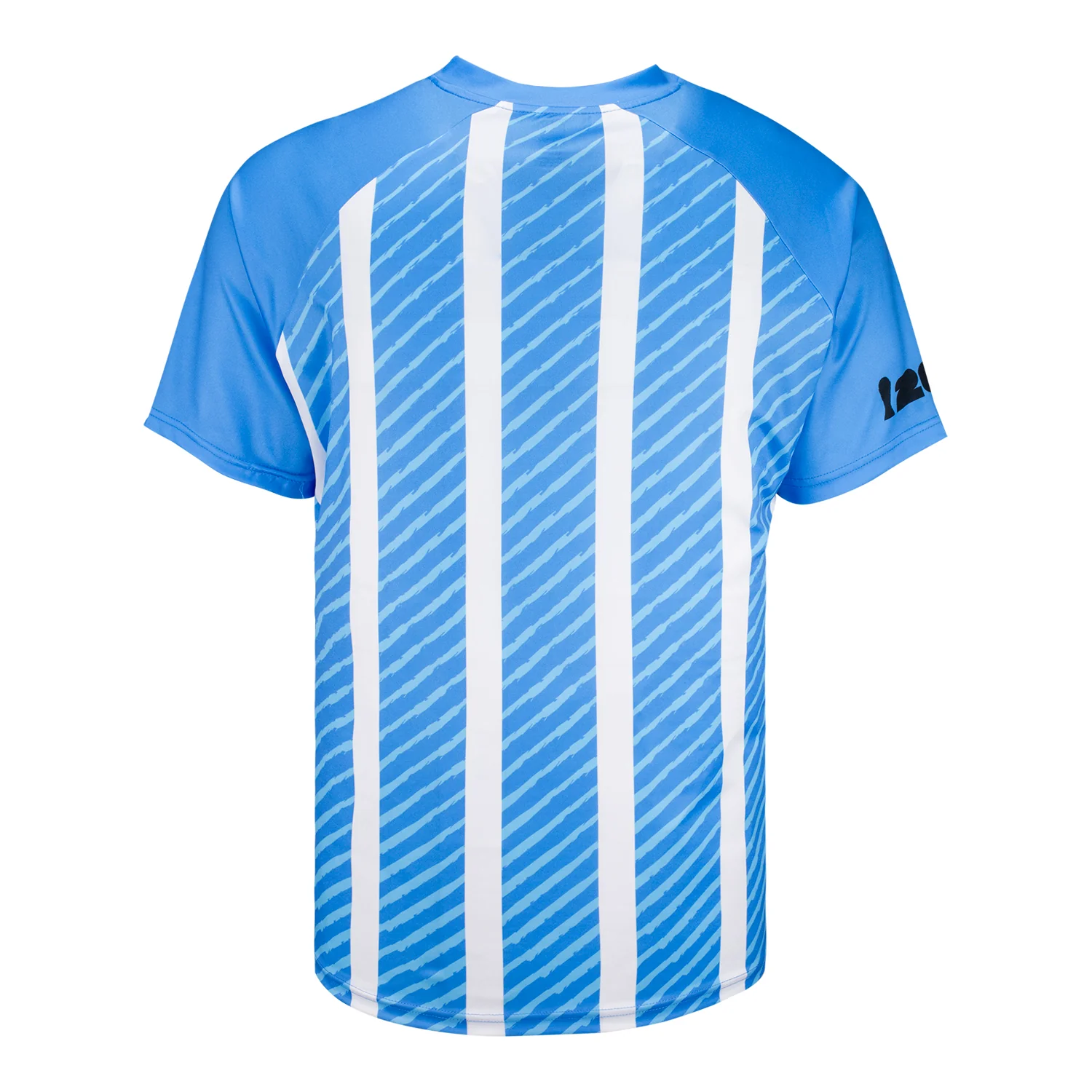 FIFA World Cup 2026™ Argentina Sublimated T-Shirt - Unisex
