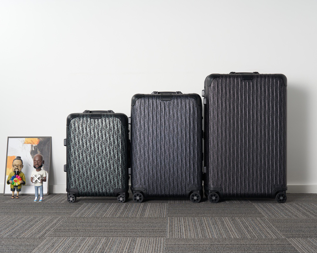 Dior luggage-15