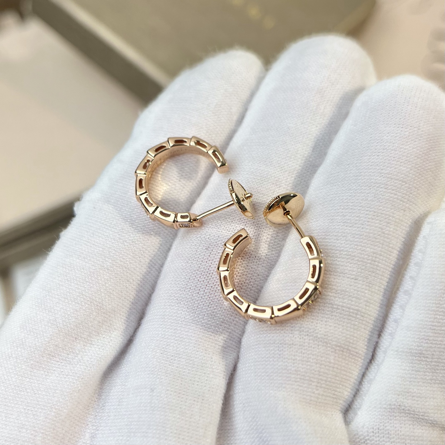 Bottega Veneta earrings-45